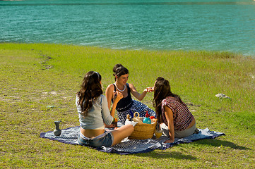 Image showing Picnic