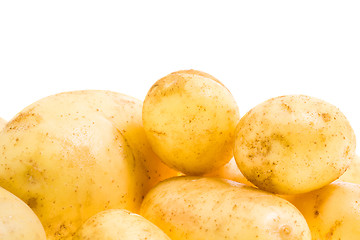 Image showing Young potato