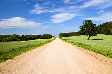 Image showing Rural road