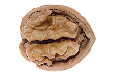 Image showing Crack walnut