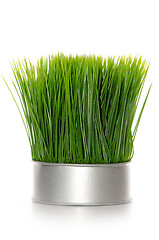 Image showing Green grass