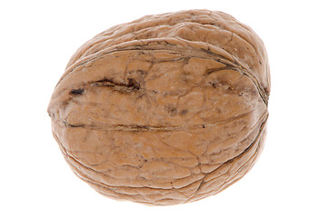 Image showing Simple wallnut