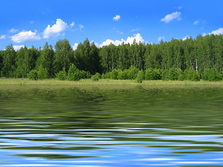 Image showing summer landscape reflected in water