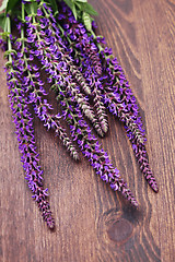 Image showing sage flowers