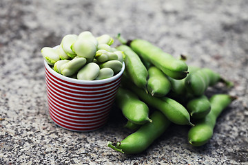 Image showing fresh broad beans