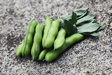 Image showing fresh broad beans