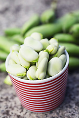 Image showing fresh broad beans