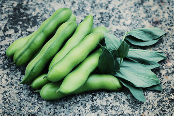 Image showing fresh broad beans