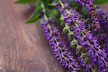 Image showing sage flowers