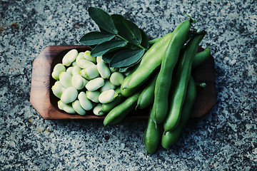 Image showing fresh broad beans