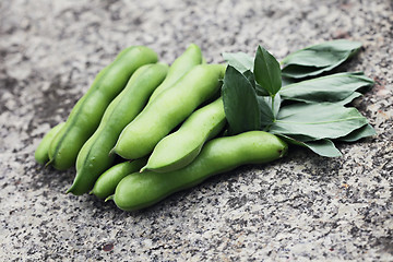 Image showing fresh broad beans