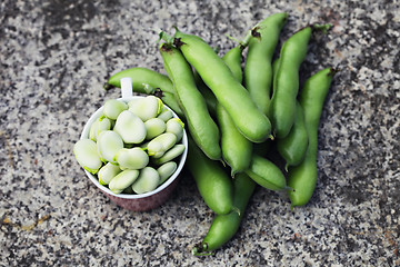 Image showing fresh broad beans