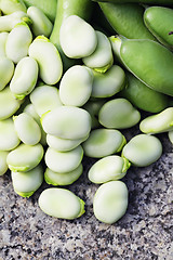 Image showing fresh broad beans