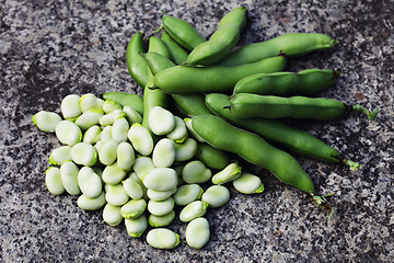 Image showing fresh broad beans