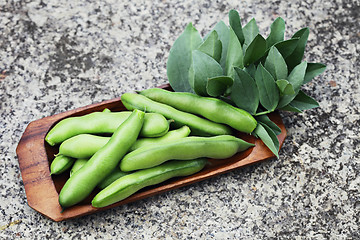 Image showing fresh broad beans