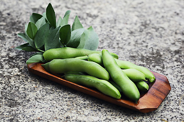 Image showing fresh broad beans