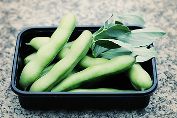 Image showing fresh broad beans