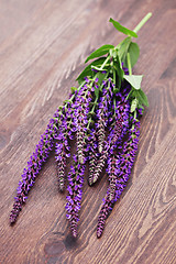 Image showing sage flowers