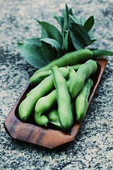 Image showing fresh broad beans