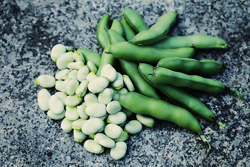 Image showing fresh broad beans