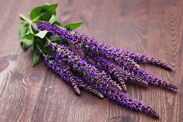 Image showing sage flowers