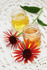 Image showing herbal honey