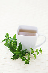 Image showing mint tea