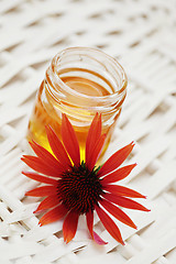 Image showing herbal honey