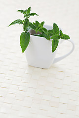 Image showing mint tea