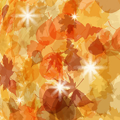 Image showing Sun pushing through a varicoloured leaves. EPS 8