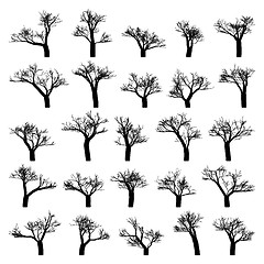 Image showing Spooky tree silhouette vector isolated. EPS 8