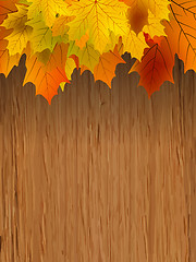 Image showing Fall leaves making border on wooden. EPS 8