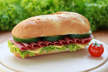 Image showing Salami Sandwich