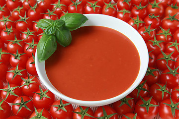 Image showing Fresh tomato soup