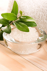 Image showing Sea Salt With Fresh Olive Branch. Spa And Wellness 