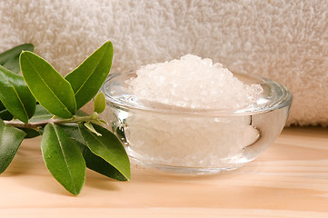 Image showing Sea Salt With Fresh Olive Branch. Spa And Wellness 