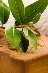 Image showing Natural Olive Soap With Fresh Branch