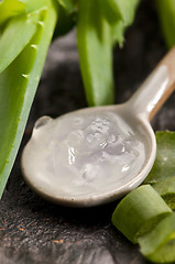 Image showing aloe vera juice with fresh leaves