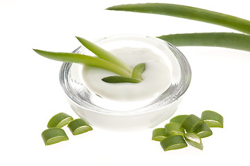 Image showing aloe vera - leaves and cream isolated on white background 