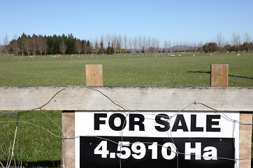 Image showing land for sale sign