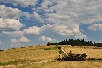 Image showing Harvest in mountain