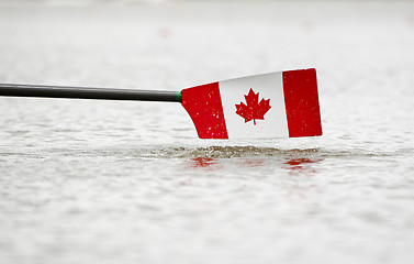 Image showing Canadian blade