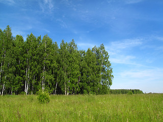 Image showing beautiful summer landscape