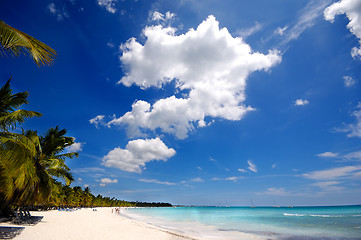 Image showing Paradise beach