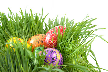 Image showing color easter eggs in nest from green grass on white