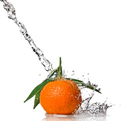 Image showing Tangerine with water splash isolated on white
