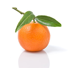 Image showing Tangerine with green leaves isolated on white