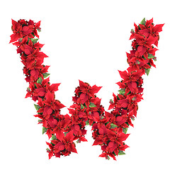 Image showing letter from red christmas flowers isolated on white