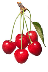 Image showing red cherry with leaf isolated on white