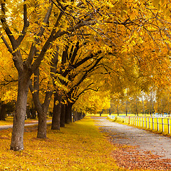 Image showing Autumn in a park